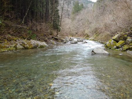 渓流ミノーイング
